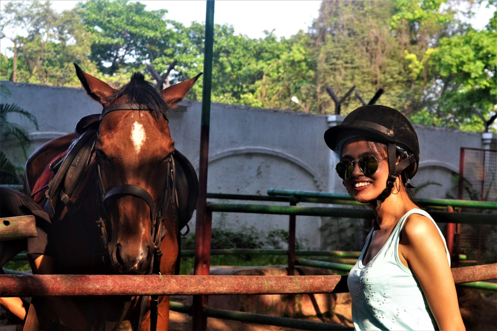 calcutta polo club horse