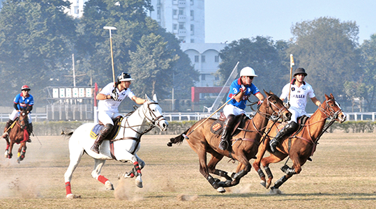 calcutta polo club horses